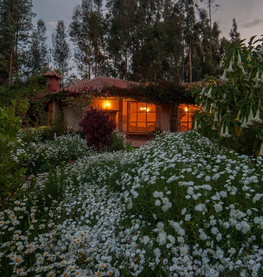 Willka T'Ika Hotel Urubamba Eksteriør billede
